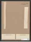 Synedra ulna var. subaequalis (Grun.) V. H. (de-Toni-Nr.: Genus 66, Species 2584) Zeichnungen Sammlung Grunow Nr. 5239 (NHMW-BOT-W0373611)